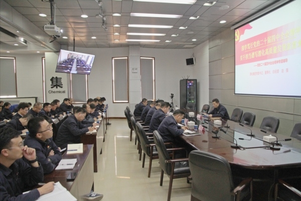 集團(tuán)公司黨委書記、董事長、總經(jīng)理趙強(qiáng)專題宣講黨的二十屆四中全會精神